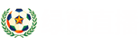 绿茵直播